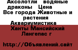 Аксолотли / водяные драконы › Цена ­ 500 - Все города Животные и растения » Аквариумистика   . Ханты-Мансийский,Лангепас г.